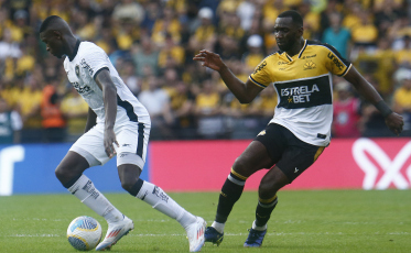 Dez anos após rebaixamento: o que mudou para Botafogo e Criciúma?