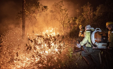Monitoramento mostra que 99% dos incêndios são por ação humana