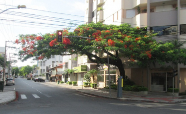 Eleições: Em Criciúma, Av. Getúlio Vargas estará fechada até às 20h de domingo