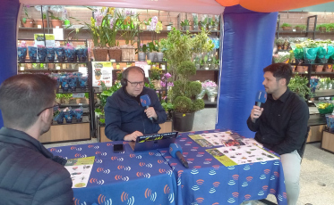 Programa Adelor Lessa ao vivo do 