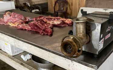 Polícia Federal confirma que carne apreendida em Morro da Fumaça era de cavalo