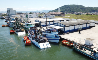 Porto de Laguna com boas notícias aos pescadores 