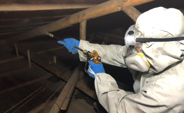 Aumento de pragas urbanas no verão pode ser controlado 