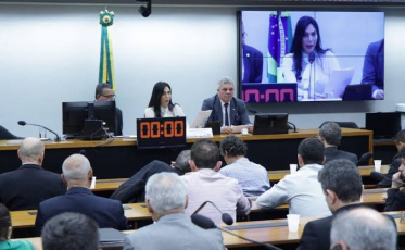 Em audiência pública, câmara de deputados debate futuro da APA da baleia franca