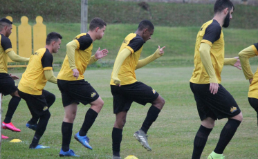 Tigre com foco no Campeonato Brasileiro