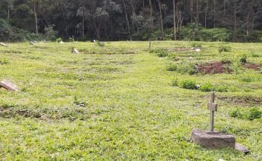 Empresa administradora dos cemitérios de Criciúma deve ser conhecida nesta sexta-feira