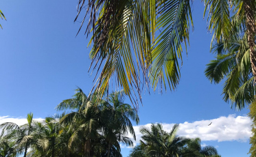 Dia de sol entre nuvens após a chuva
