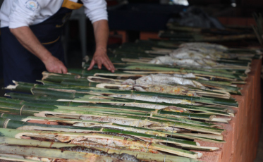 [Áudio] A 28ª Festa da Tainha superou as expectativas com mais de 100 mil visitantes