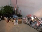 PM apreende estufa caseira com 29 pés de maconha (VÍDEO)