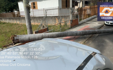 [Vídeo] Ventos fortes causam estragos, queda de árvores e energia em Criciúma
