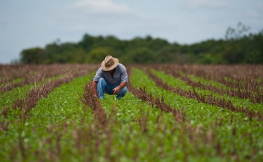 Produtores têm até segunda para aderir ao Refis Rural