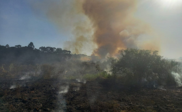 Por quatro horas, bombeiros combatem incêndio de grandes proporções em vegetação 