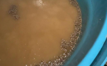 Dois estabelecimentos de Criciúma são interditados por produção clandestina de cachaça