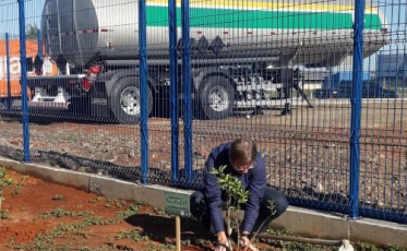 Librelato lança campanha de plantio de árvores