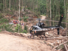 ((Vídeo)) Atingido por árvore, trabalhador é hospitalizado com auxílio de helicóptero