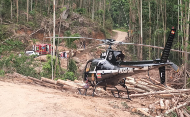 ((Vídeo)) Atingido por árvore, trabalhador é hospitalizado com auxílio de helicóptero