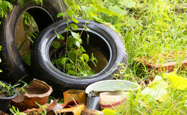 Criciúma em alerta contra a dengue: ações visam evitar o aedes aegypti
