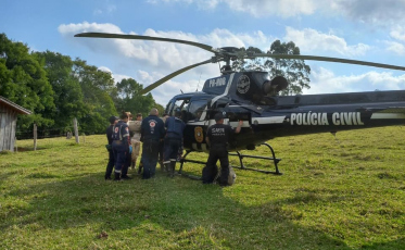 Idoso fica ferido após ser atingido por um tronco de árvore