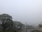 Domingo amanhece com nevoeiro marítimo e o sol pode aparecer ao longo do dia