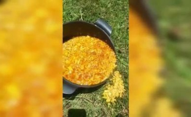 Mulher encontra rato em embalagem de molho de tomate