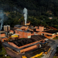 Gigante catarinense dos energéticos entra para lista das marcas que mais crescem no Brasil
