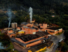 Com investimento de R$ 300 milhões, Baly entra para lista das 53 marcas que mais crescem no Brasil