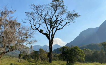 Desde quarta-feira, incêndios são registrados no interior de Orleans 