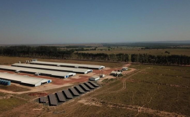 Em SC, mais de 70% das granjas da Seara já utilizam energia solar