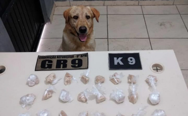 PM apreende cerca de 1 quilo de crack no Renascer 