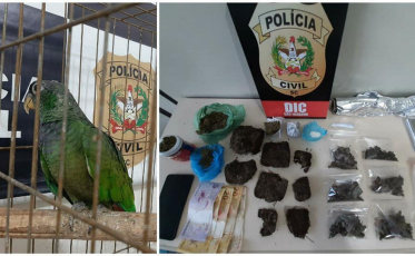 Homem é preso com drogas e aves em São Joaquim 