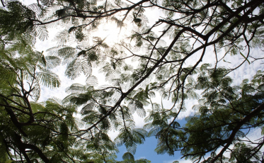 Morro da Fumaça: Defesa Civil dá dicas para enfrentar forte calor