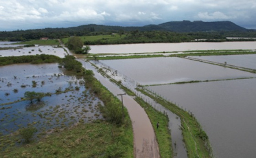 Em dois meses, prejuízo na agricultura ultrapassou R$ 350 milhões no Sul