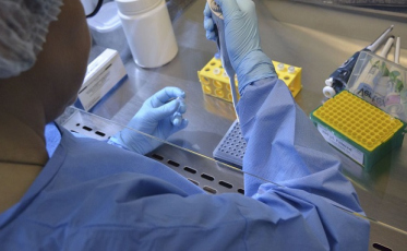 SP registra mais de 12,5 mil novos casos de Covid-19 em 24 horas