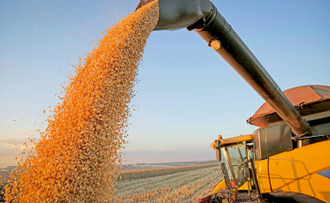 Semana do Conhecimento Agro debate temas relacionados à tecnologia e gestão 