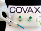 Meta de entrega de vacinas para Covax em 2021 é reduzida
