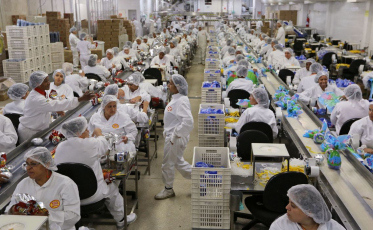 Dificuldade de acesso a insumos afeta 22 entre 25 setores da indústria