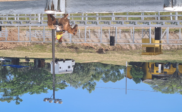 Peões e empreendedores participam em peso de Rodeio Nacional
