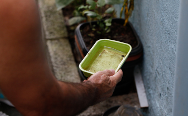 Região tem sete municípios considerados infestados pelo mosquito da dengue