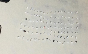 Adolescente é apreendida em Araranguá por tráfico de drogas