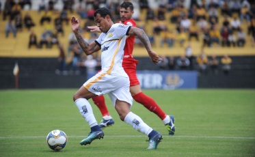 Dois tigres numa jaula