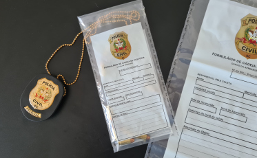 Polícia Civil indicia homem por 17 furtos em Morro da Fumaça