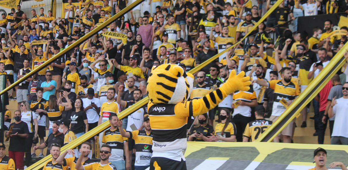 O ano do Sul catarinense