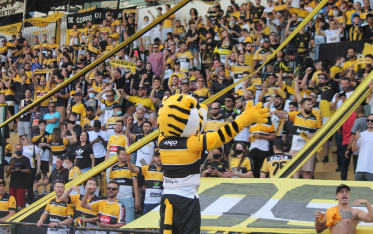 O ano do Sul catarinense