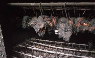 Câmara de defumação de frigorífico pega fogo