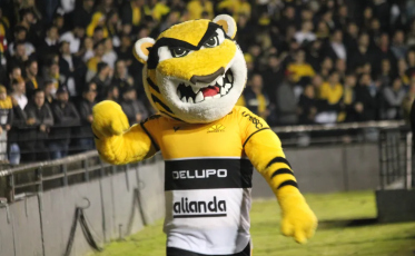 Mascote do Criciúma é suspenso por 30 dias