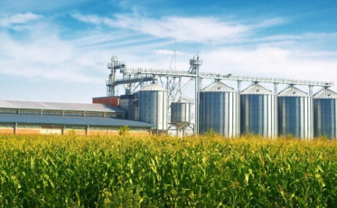 Procer lança versão customizável de plataforma para gestão inteligente da armazenagem de grãos