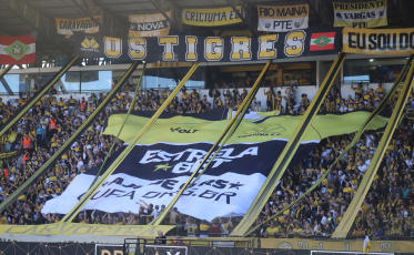 Partida entre Criciúma e Palmeiras registrou o maior público de SC no ano