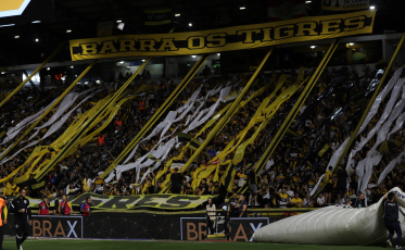 Criciúma é o líder de SC no Ranking da CBF