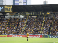 Torcida do Criciúma apoiando na decisão da Recopa | Foto: Celso da Luz/Criciúma EC/4oito