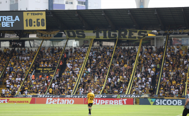 É campeão! Tigre vence e inicia 2025 com título